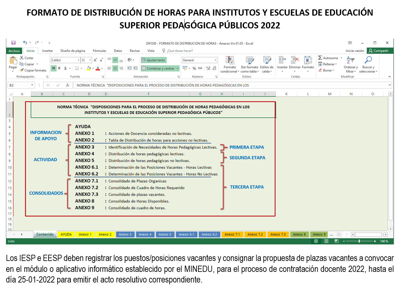 FORMATO DE DISTRIBUCIÓN DE HORAS DE LOS IESPP Y EESPP 2022